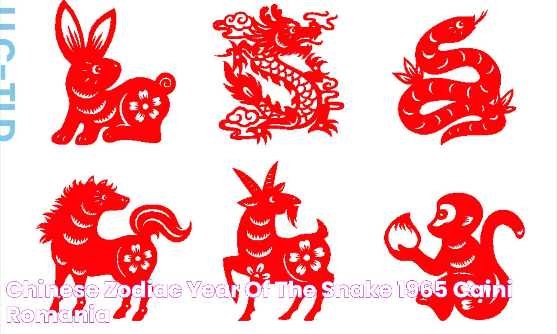 '1965 Chinese Zodiac Unveiling Its Mysteries And Significance'